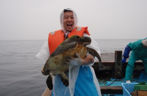 海亀をお姫様抱っこ