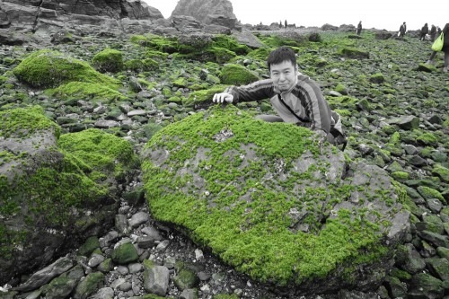 海藻がいっぱい