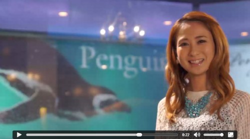 ペンギンを背景に