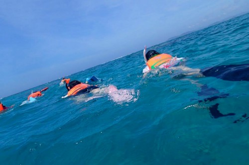 シュノーケリング