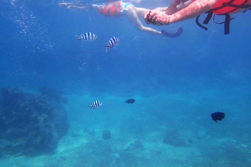 シュノーケリング