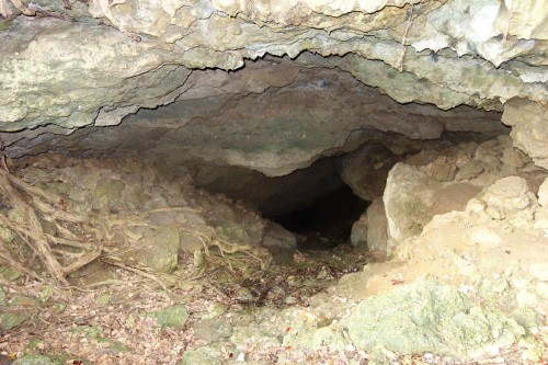 アンヌカーの中