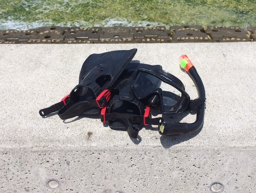 シュノーケル&フィン