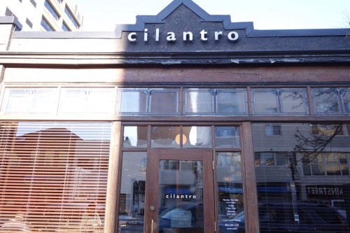 Cilantro