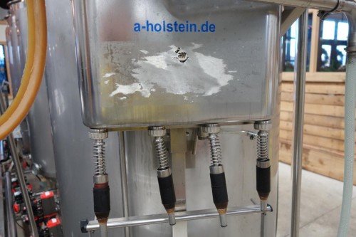 ホルスタイン？