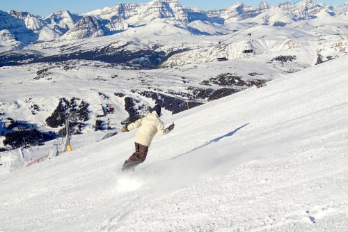 風景も楽しめます
