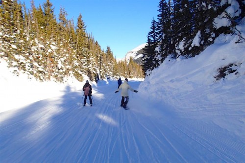 スキー・アウト