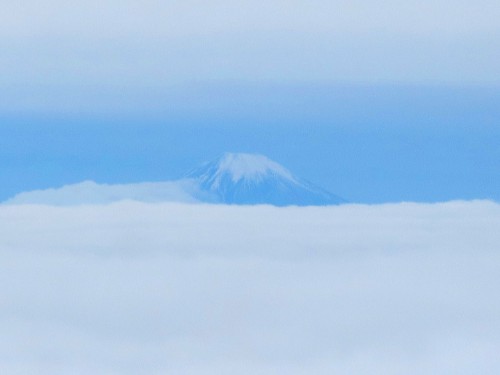 富士山!