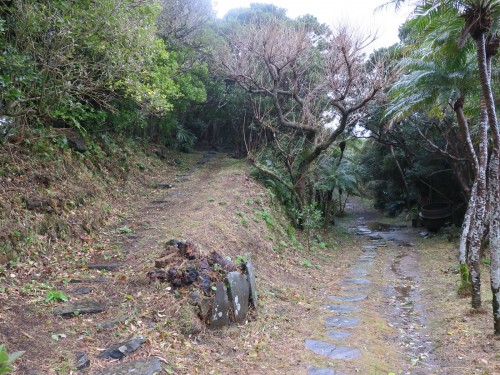見晴らし台への道