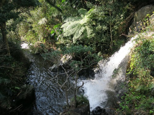 温泉からは滝が見えます。