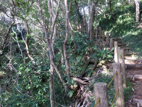 滝を目指します。