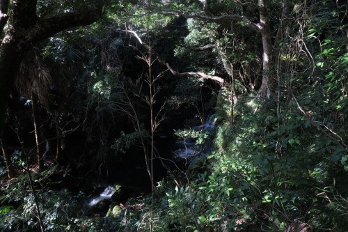 ところどころに滝が