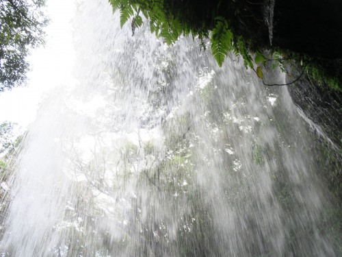 裏から見られます