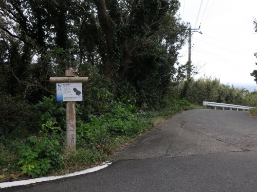 いたるところに看板が…