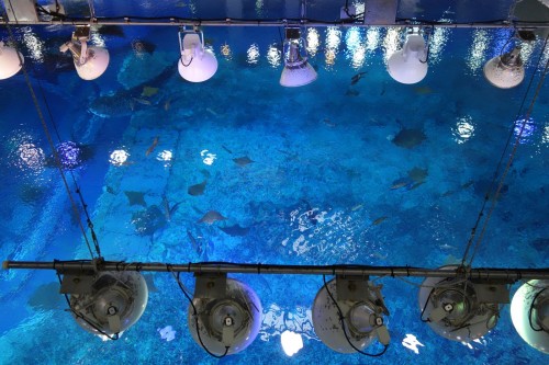 ステージのよう