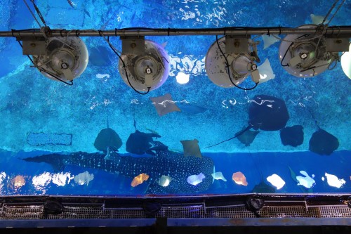 ステージの照明みたい