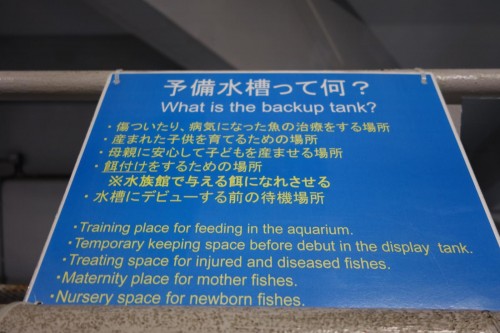 予備水槽 解説