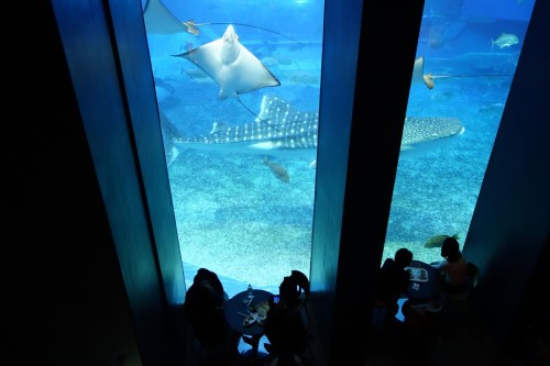 食事しながら…