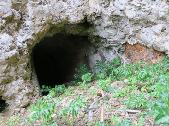 トロッコのトンネル？