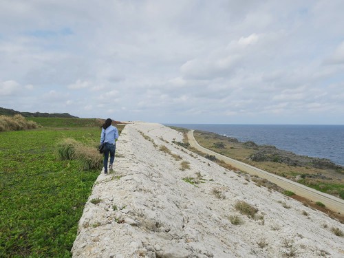 石が積まれている