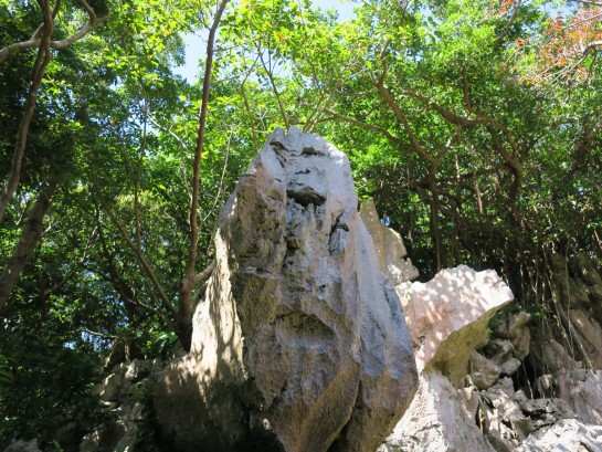奇岩