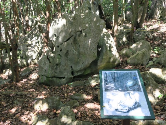 奇岩 サイゴリラ