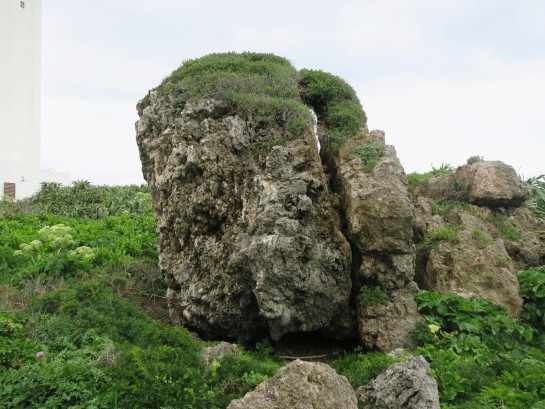 誰かに似てる岩