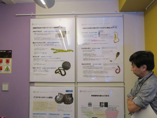 ゲノムの解析中