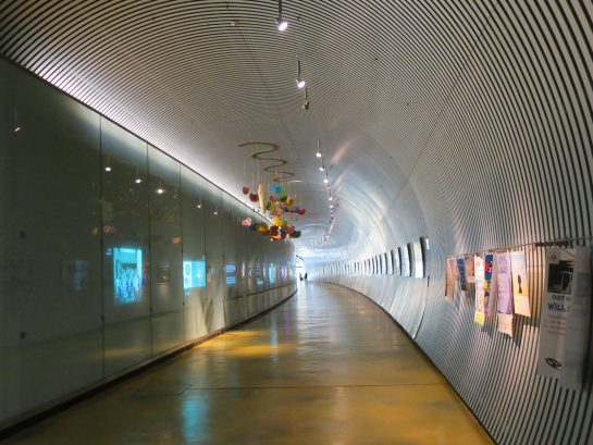 OIST 研究棟へのトンネル