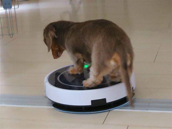 乗り心地、よし!