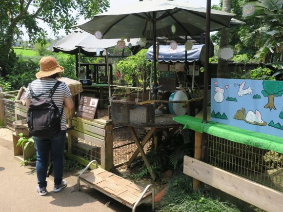 ふれあいエリア