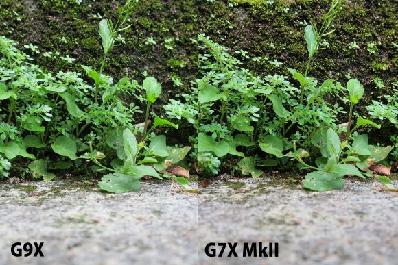 G7X MKII と G9X 画像比較３
