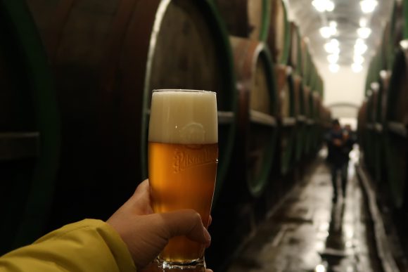 無濾過のプラズドロイ