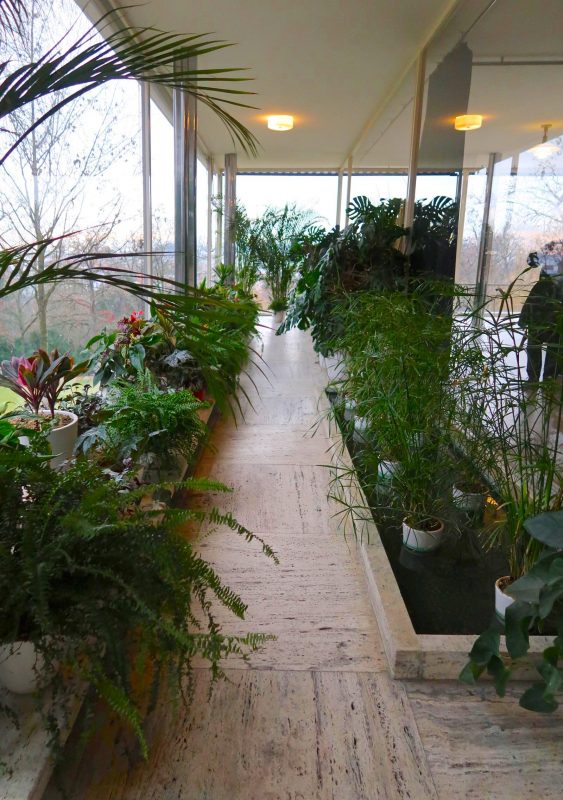 植物がいっぱい