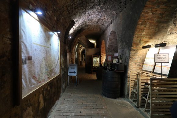 国立ワインセンター ワインセラー入口