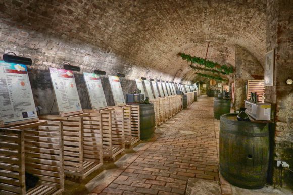 国立ワインセンター ワインセラー