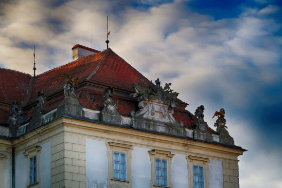 国立ワインセンター