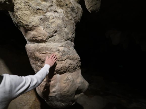 子宝に恵まれます。