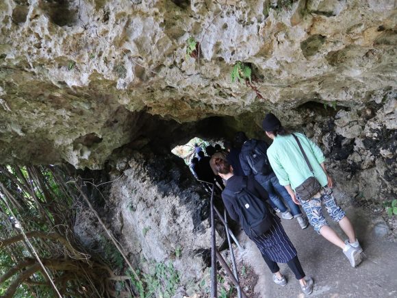森の賢者に会いに