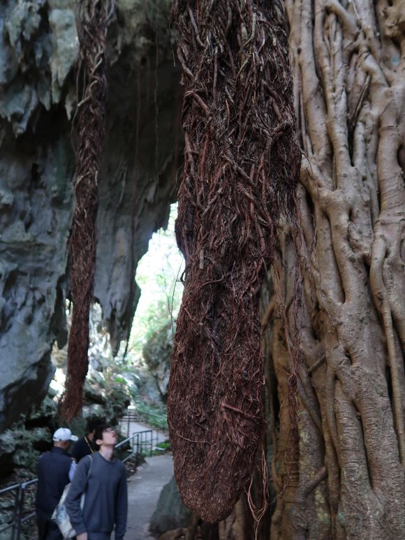 シン・ゴジラの尻尾のよう
