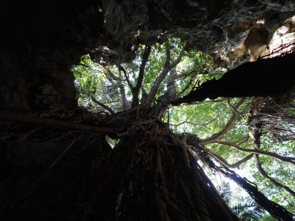 見上げれば飲まれそう