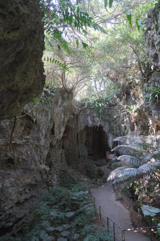 さらに先には…