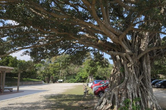ガンガラーの谷 駐車場