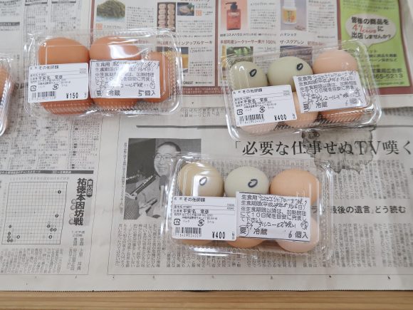 アローカナと烏骨鶏の卵