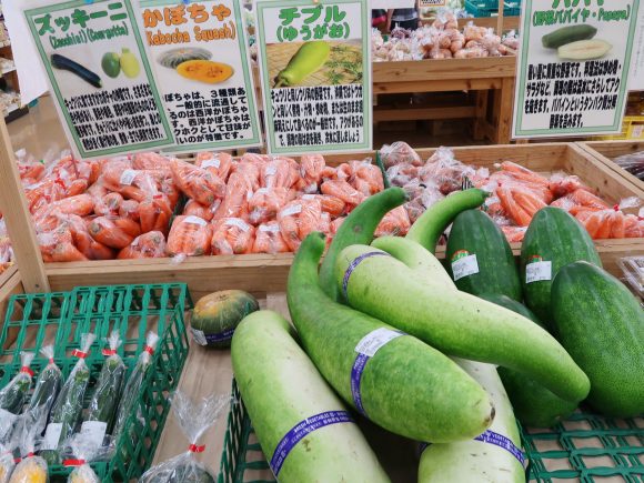 チブル（ゆうがお）