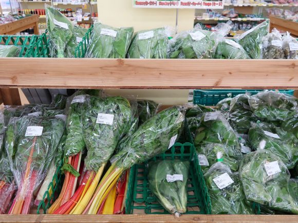 カラフルなフダンソウ