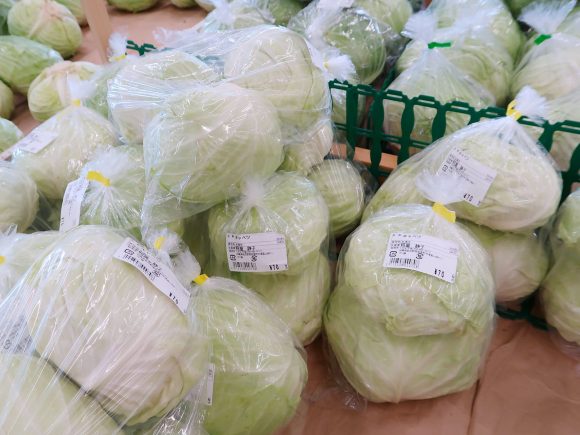 キャベツが安い！
