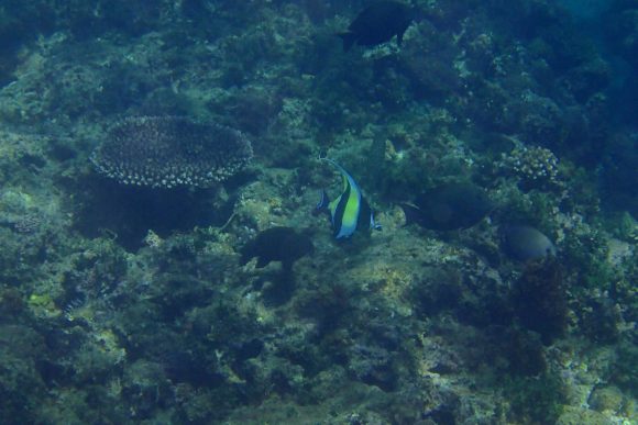浦添の海 その１