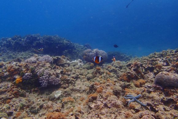 浦添の海 その２