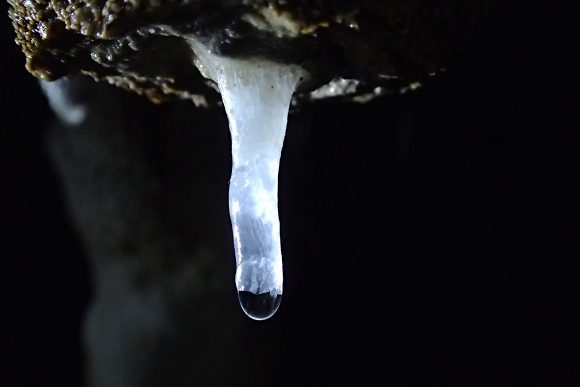 光が当たると綺麗です。